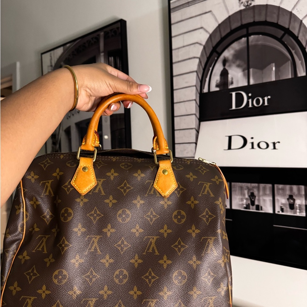 Louis Vuitton Brown and Tan Monogram Satchel